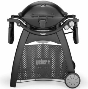 Weber® Q 3200