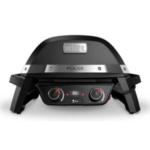 WEBER Pulse Pulse 2000